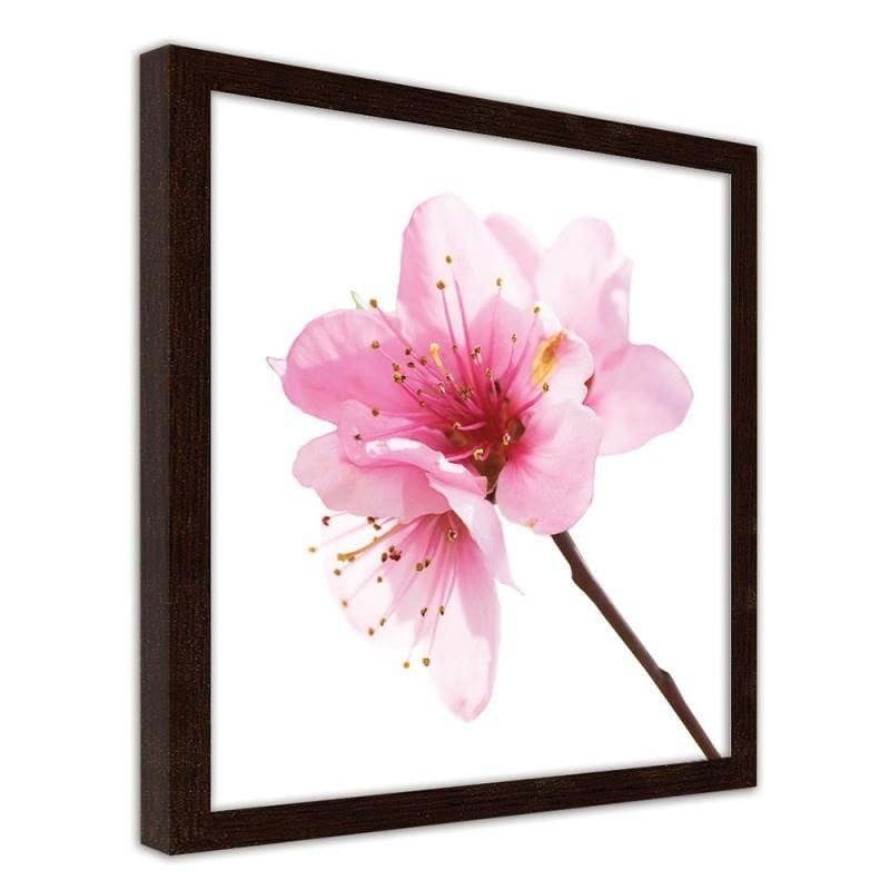 Glezna brūnā rāmī - Pink flower 3  Home Trends DECO