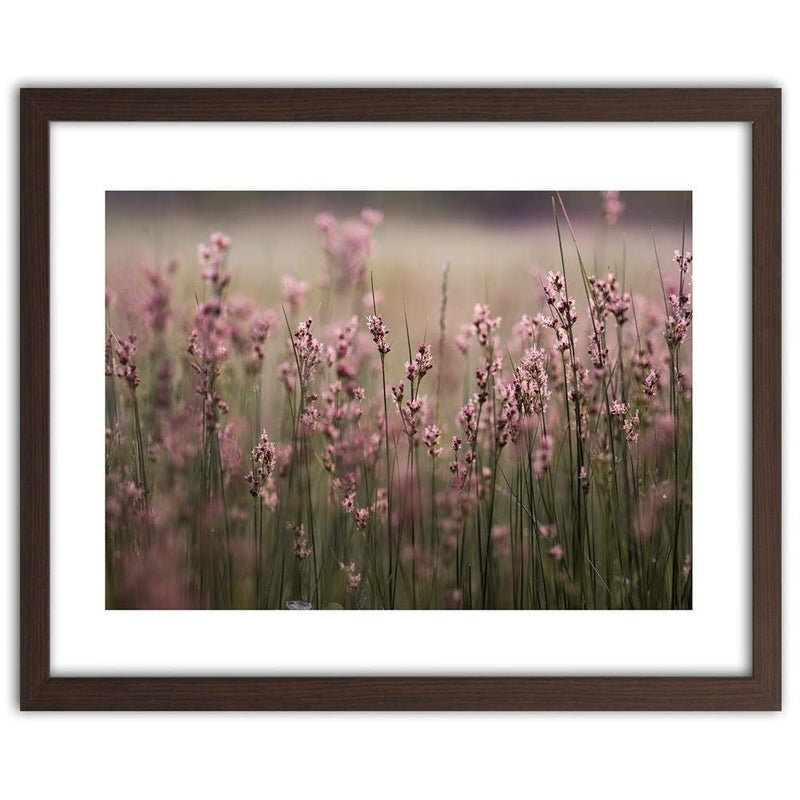 Glezna brūnā rāmī - Pink Flower Field  Home Trends DECO