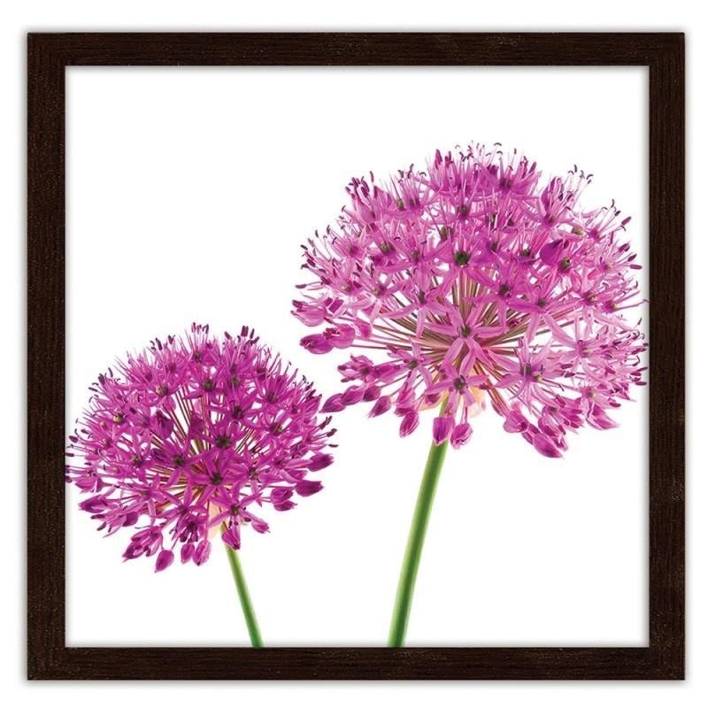 Glezna brūnā rāmī - Pink garlic flower  Home Trends DECO