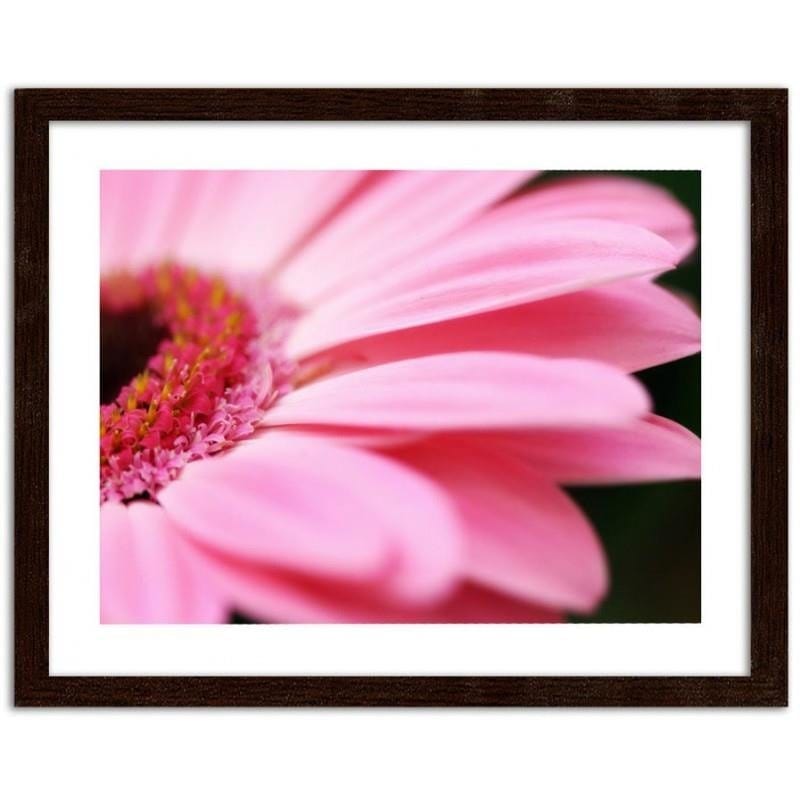 Glezna brūnā rāmī - Pink gerbera  Home Trends DECO