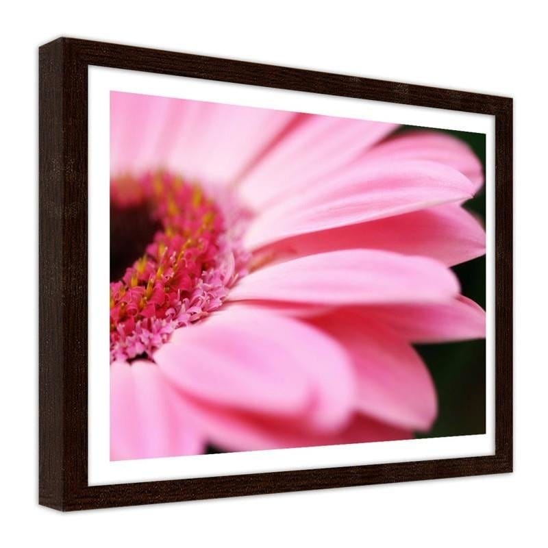 Glezna brūnā rāmī - Pink gerbera  Home Trends DECO