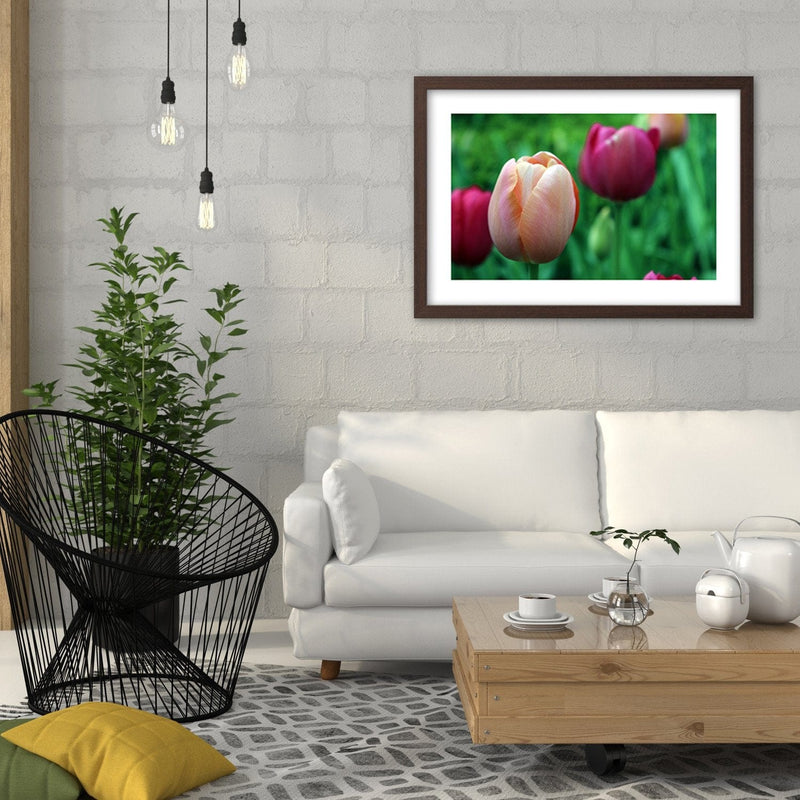 Glezna brūnā rāmī - Pink Tulip  Home Trends DECO