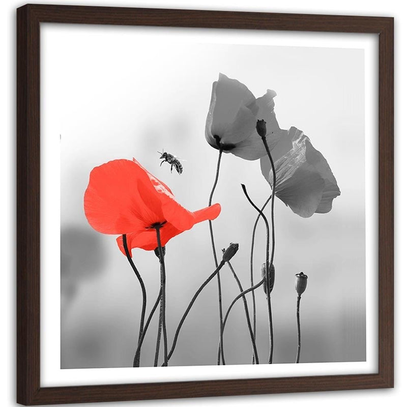 Glezna brūnā rāmī - Poppies And Bee  Home Trends DECO