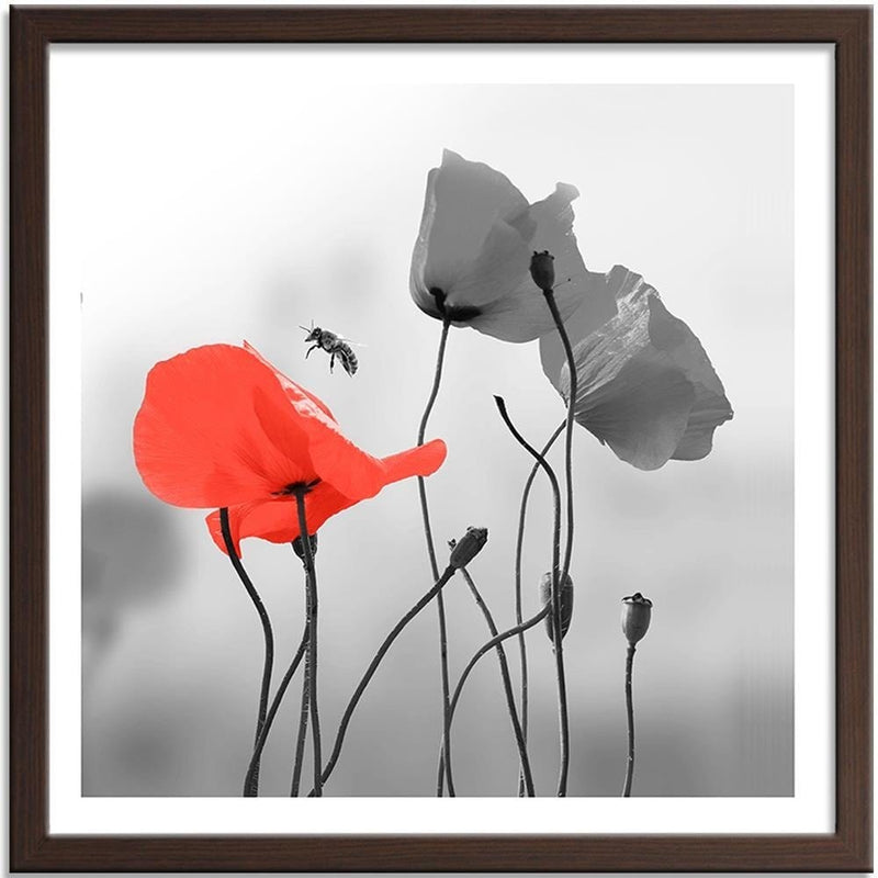 Glezna brūnā rāmī - Poppies And Bee  Home Trends DECO