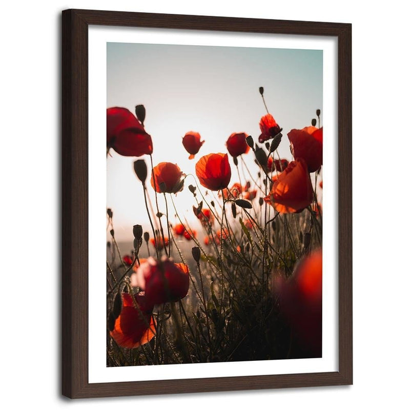 Glezna brūnā rāmī - Poppies In Suns  Home Trends DECO