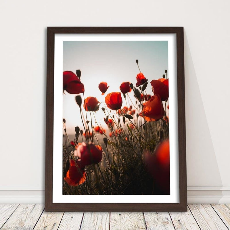 Glezna brūnā rāmī - Poppies In Suns  Home Trends DECO