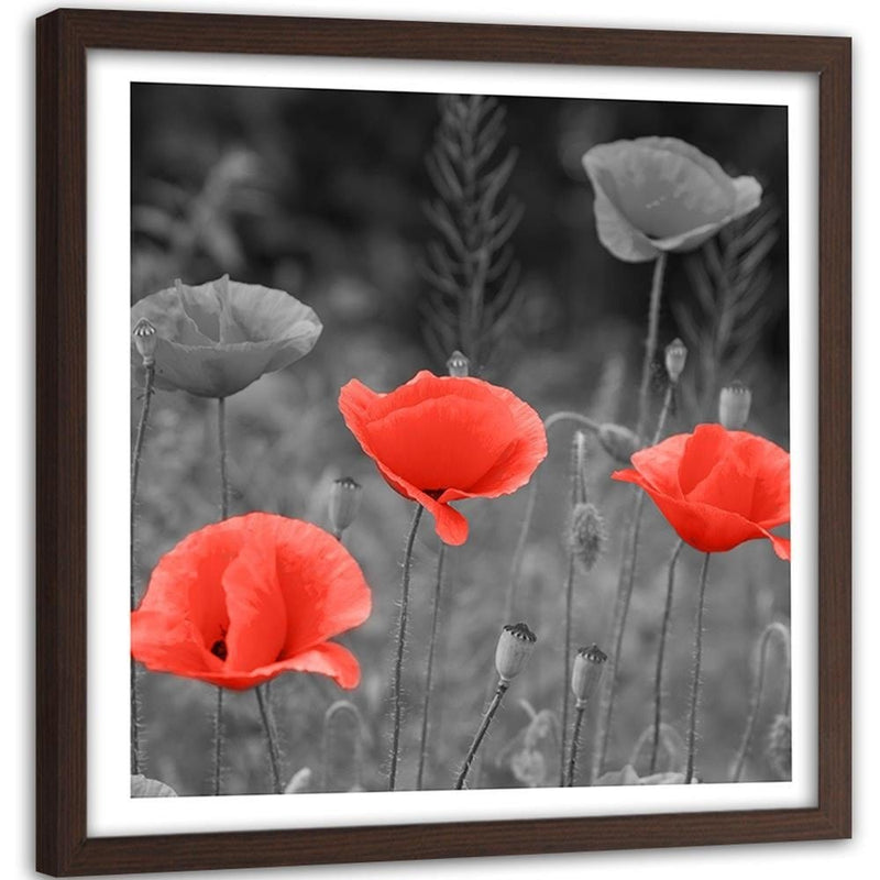 Glezna brūnā rāmī - Poppies In The Meadow  Home Trends DECO