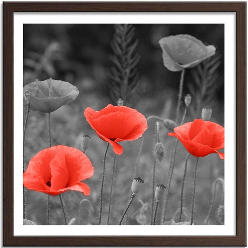 Glezna brūnā rāmī - Poppies In The Meadow  Home Trends DECO