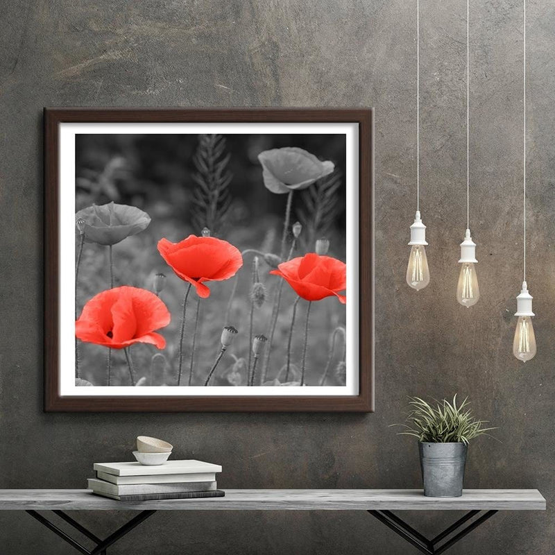 Glezna brūnā rāmī - Poppies In The Meadow  Home Trends DECO