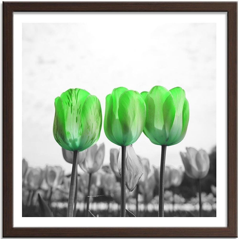 Glezna brūnā rāmī - Poppies On Green Meadow  Home Trends DECO