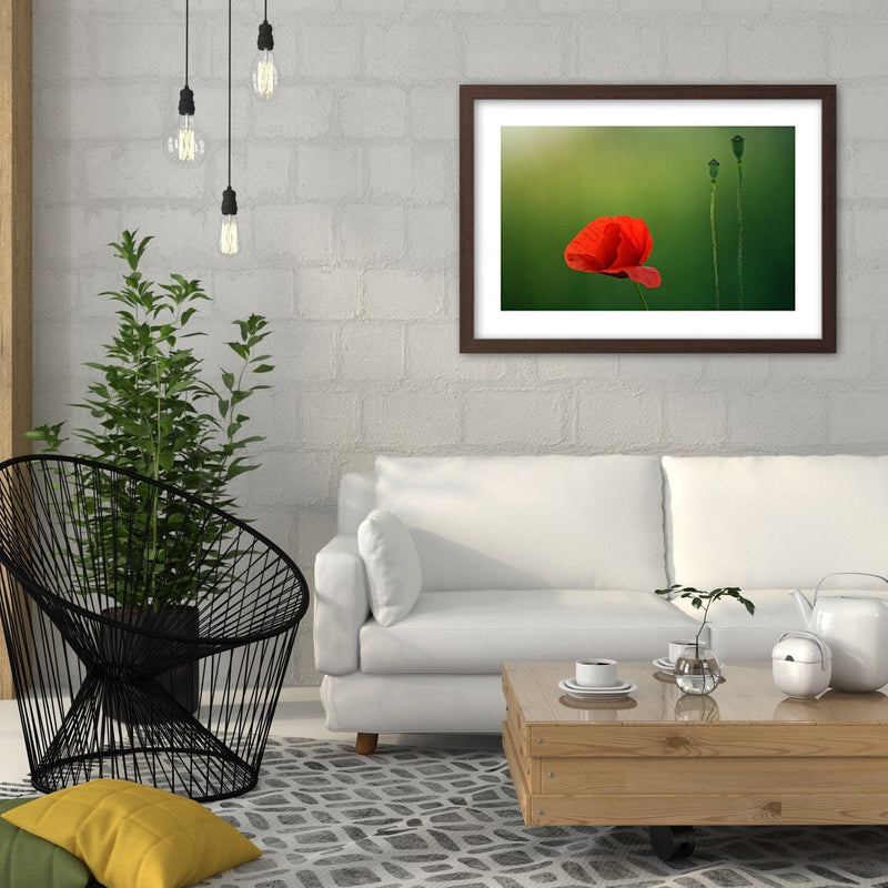 Glezna brūnā rāmī - Poppy Flower On A Green Background  Home Trends DECO