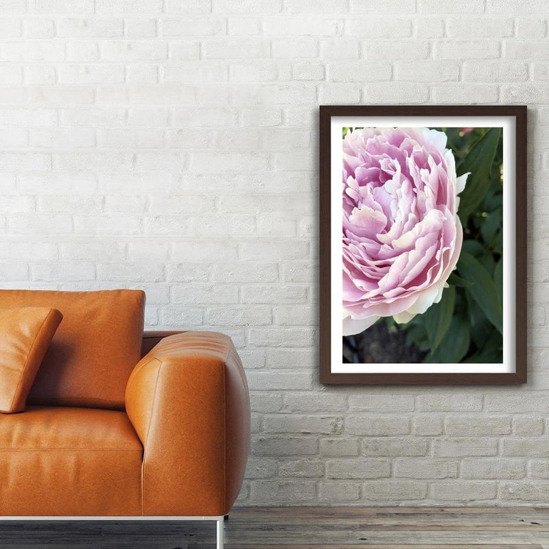 Glezna brūnā rāmī - Pretty Pink Peony  Home Trends DECO