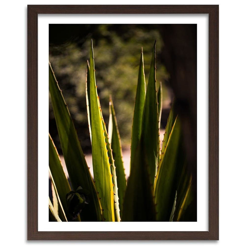 Glezna brūnā rāmī - Prickly Leaves  Home Trends DECO