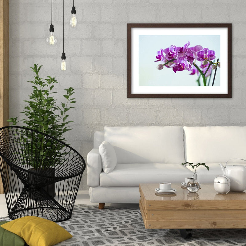 Glezna brūnā rāmī - Purple Orchid  Home Trends DECO