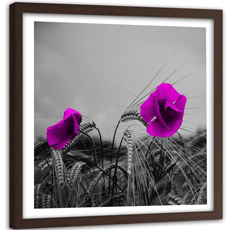 Glezna brūnā rāmī - Purple Poppies And Corn  Home Trends DECO