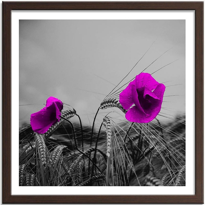 Glezna brūnā rāmī - Purple Poppies And Corn  Home Trends DECO