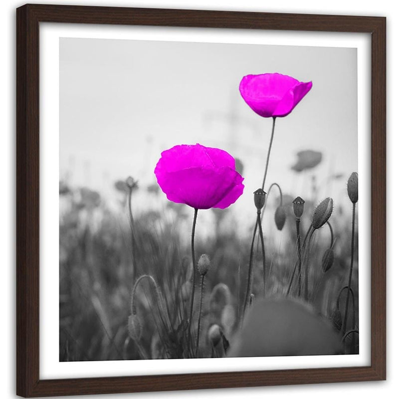 Glezna brūnā rāmī - Purple Poppies On The Meadow  Home Trends DECO