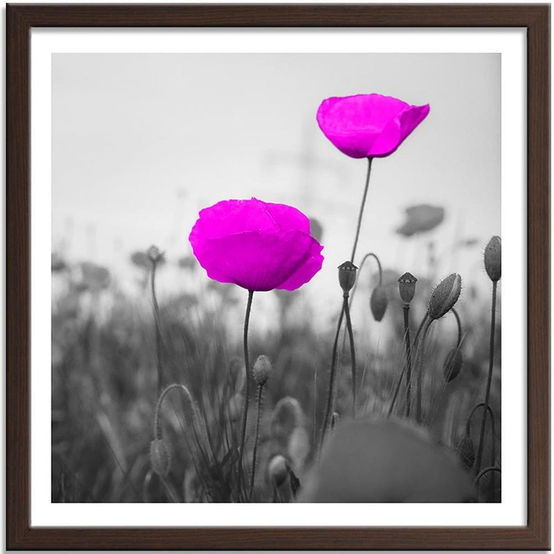 Glezna brūnā rāmī - Purple Poppies On The Meadow  Home Trends DECO