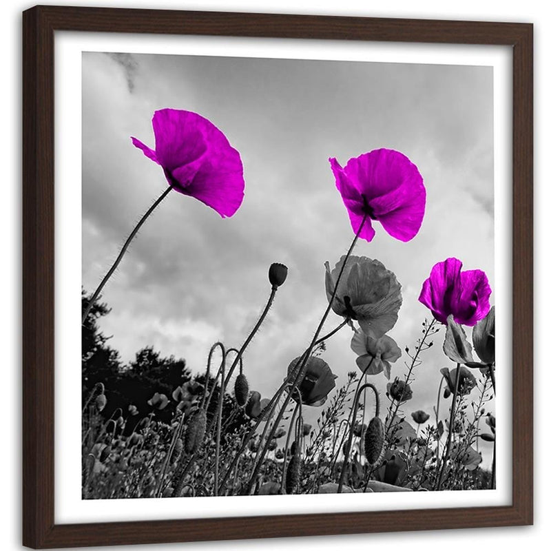 Glezna brūnā rāmī - Purple Poppy Flowers  Home Trends DECO