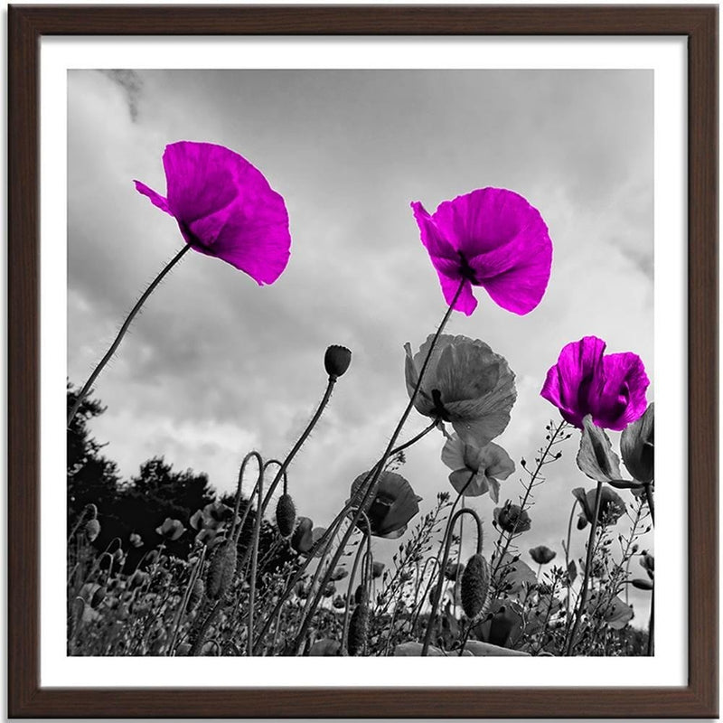 Glezna brūnā rāmī - Purple Poppy Flowers  Home Trends DECO