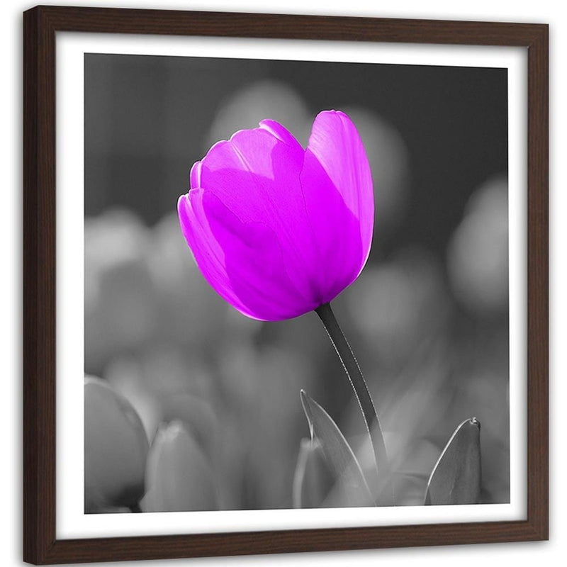 Glezna brūnā rāmī - Purple Tulip  Home Trends DECO