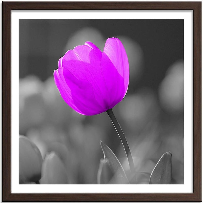 Glezna brūnā rāmī - Purple Tulip  Home Trends DECO