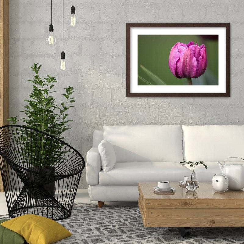 Glezna brūnā rāmī - Purple Tulip  Home Trends DECO