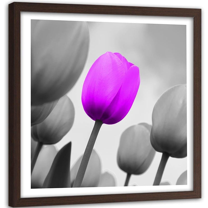 Glezna brūnā rāmī - Purple Tulip In Gray  Home Trends DECO