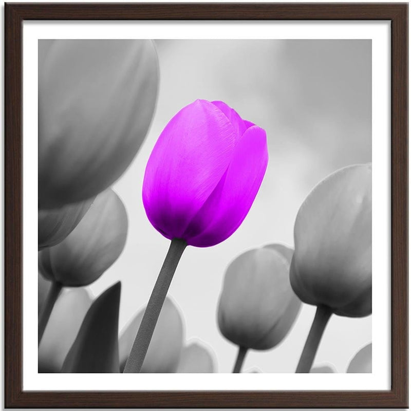 Glezna brūnā rāmī - Purple Tulip In Gray  Home Trends DECO