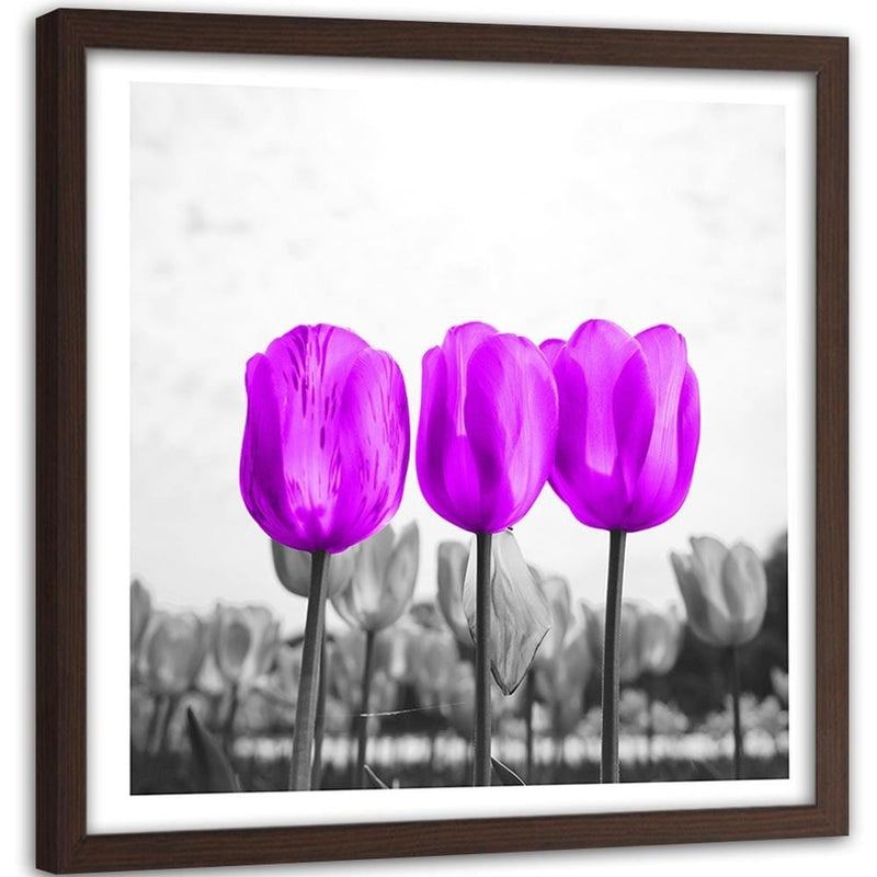 Glezna brūnā rāmī - Purple Tulips  Home Trends DECO