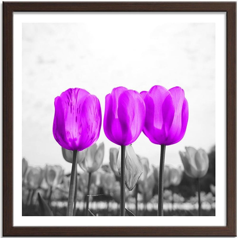 Glezna brūnā rāmī - Purple Tulips  Home Trends DECO