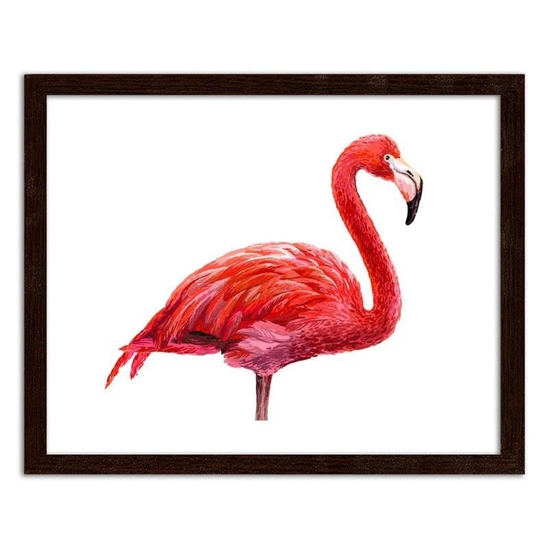 Glezna brūnā rāmī - Realistic flamingo illustration  Home Trends DECO