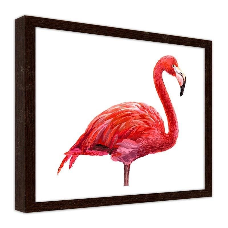 Glezna brūnā rāmī - Realistic flamingo illustration  Home Trends DECO