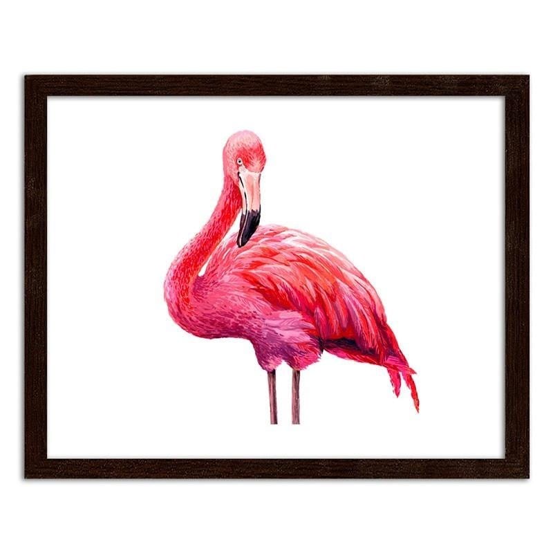 Glezna brūnā rāmī - Realistic illustration of a pink flamingo  Home Trends DECO