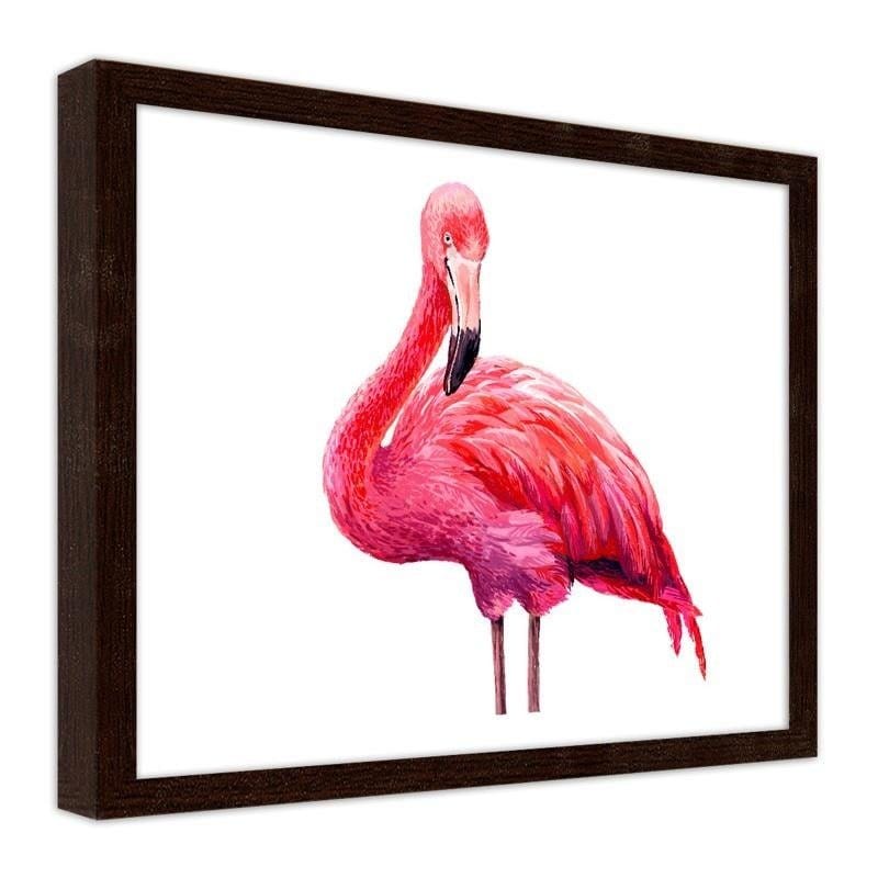 Glezna brūnā rāmī - Realistic illustration of a pink flamingo  Home Trends DECO