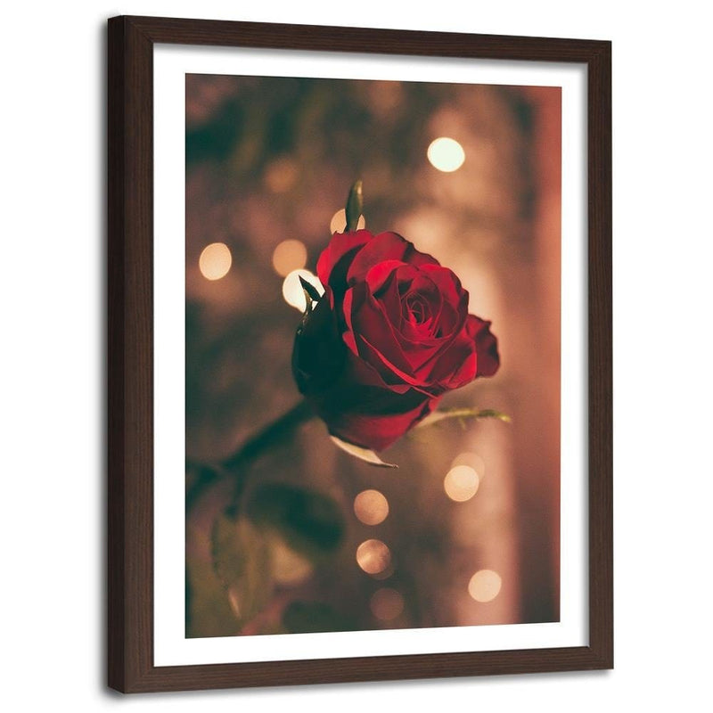 Glezna brūnā rāmī - Red Flower Roses  Home Trends DECO