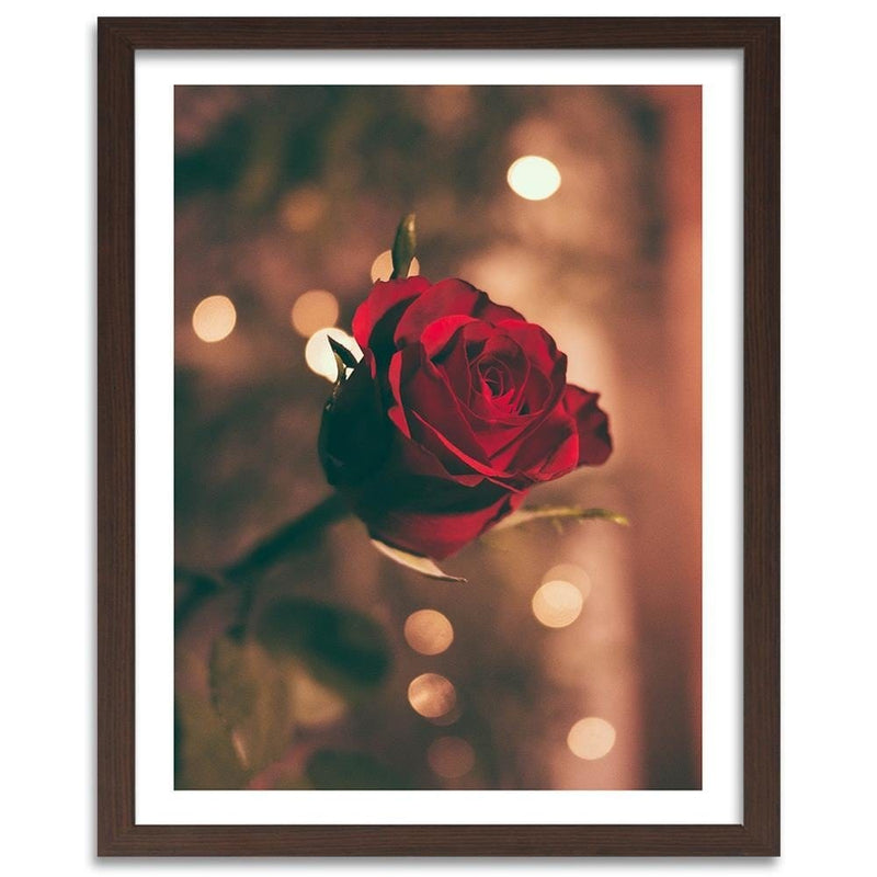 Glezna brūnā rāmī - Red Flower Roses  Home Trends DECO