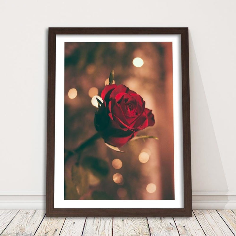 Glezna brūnā rāmī - Red Flower Roses  Home Trends DECO