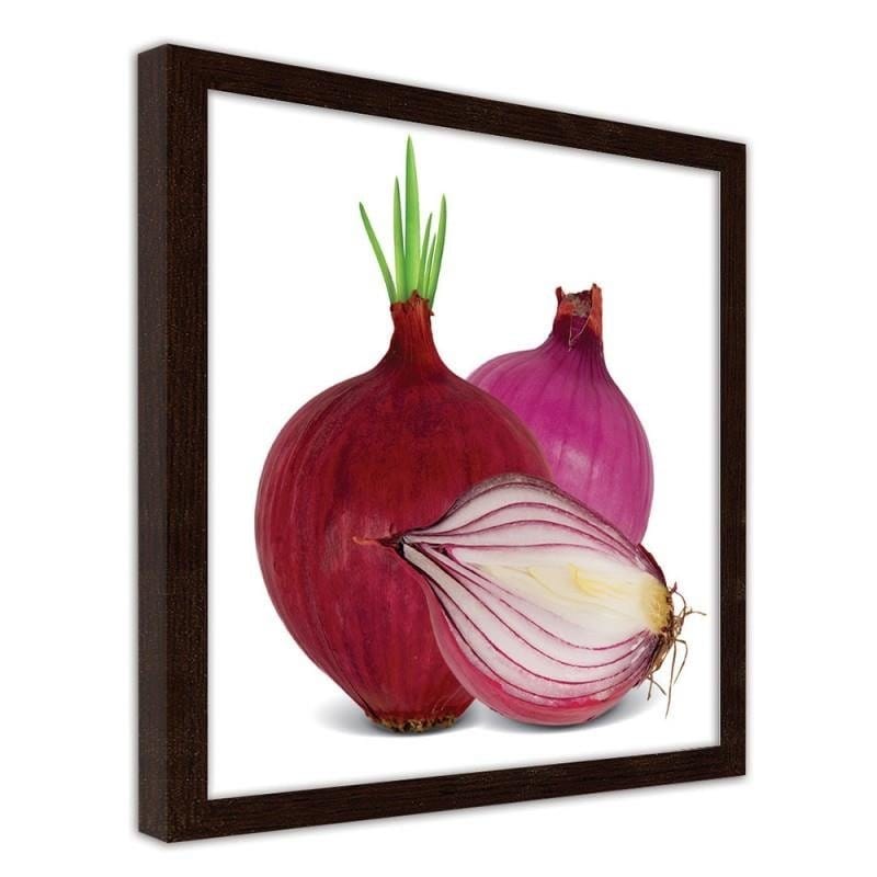 Glezna brūnā rāmī - Red onions  Home Trends DECO