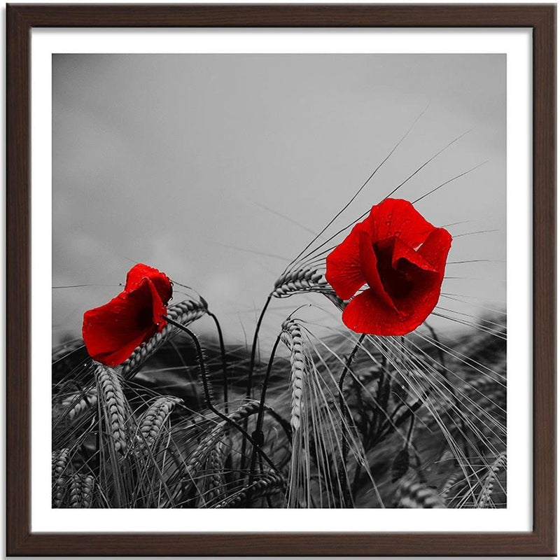 Glezna brūnā rāmī - Red Poppies And Corn  Home Trends DECO