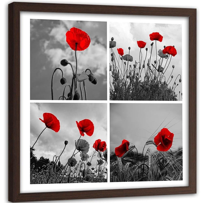 Glezna brūnā rāmī - Red Poppies  Home Trends DECO