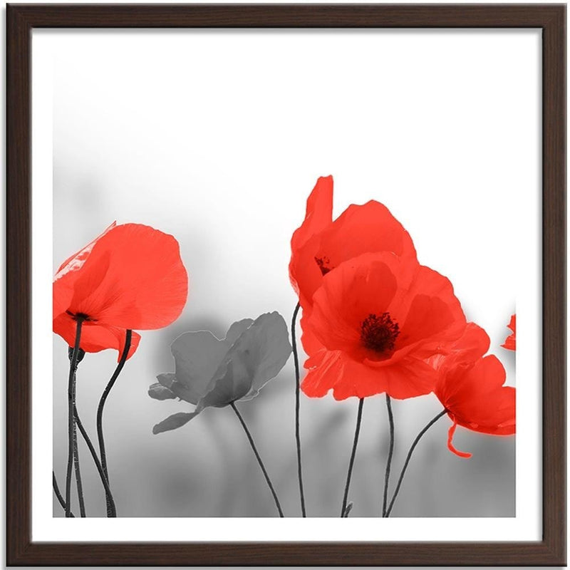 Glezna brūnā rāmī - Red Poppies In Gray  Home Trends DECO