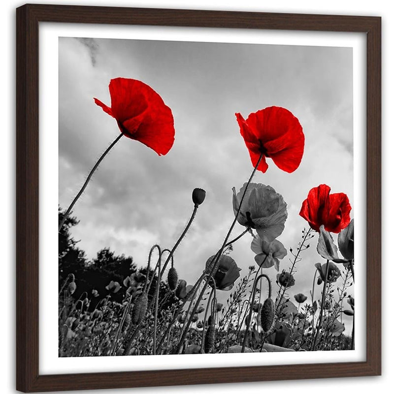 Glezna brūnā rāmī - Red Poppies On The Meadow  Home Trends DECO