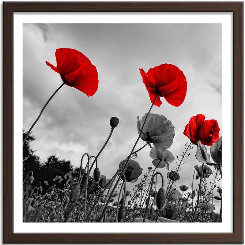 Glezna brūnā rāmī - Red Poppies On The Meadow  Home Trends DECO