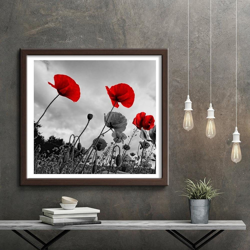 Glezna brūnā rāmī - Red Poppies On The Meadow  Home Trends DECO