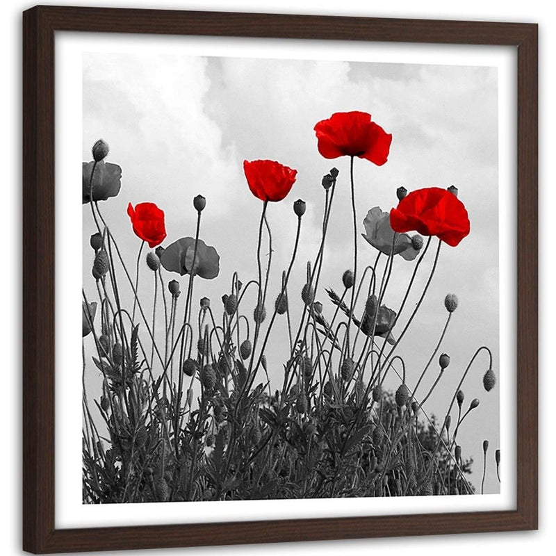 Glezna brūnā rāmī - Red Poppy Flowers  Home Trends DECO