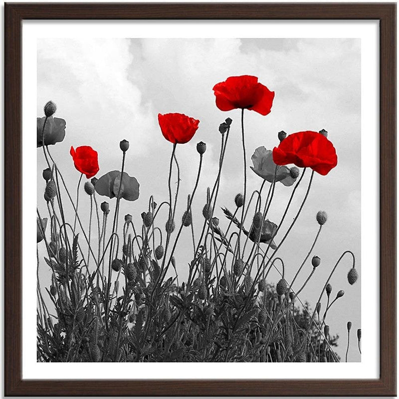 Glezna brūnā rāmī - Red Poppy Flowers  Home Trends DECO