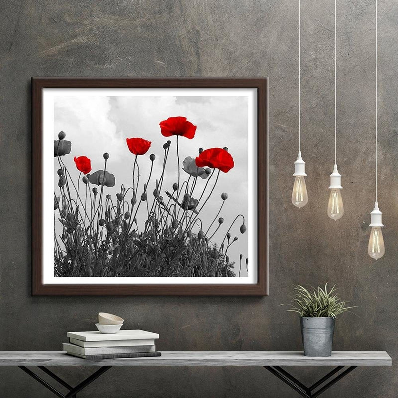 Glezna brūnā rāmī - Red Poppy Flowers  Home Trends DECO