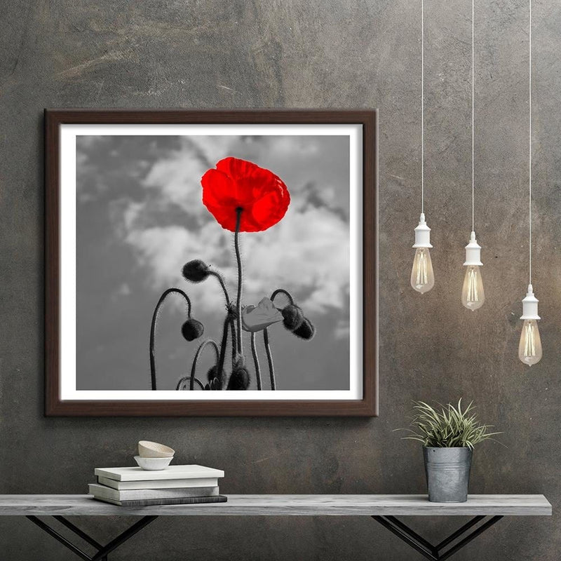 Glezna brūnā rāmī - Red Poppy  Home Trends DECO