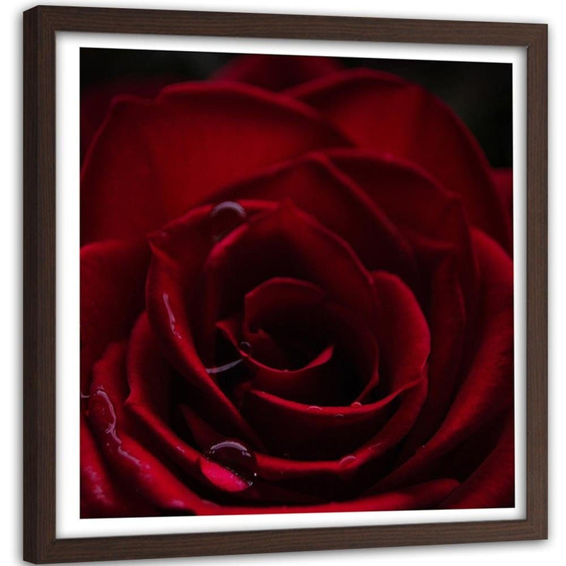 Glezna brūnā rāmī - Red Rose  Home Trends DECO